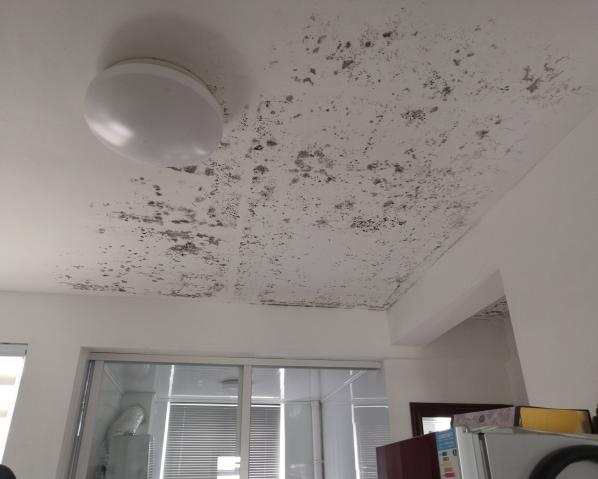 深化黨建推動(dòng)引領(lǐng)，提升租戶居住幸福指數(shù)